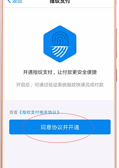 淘宝设置指纹支付的基础操作截图