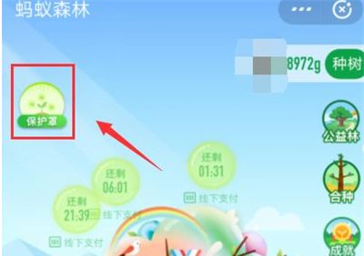支付宝弄种树彩色树的方法步骤截图