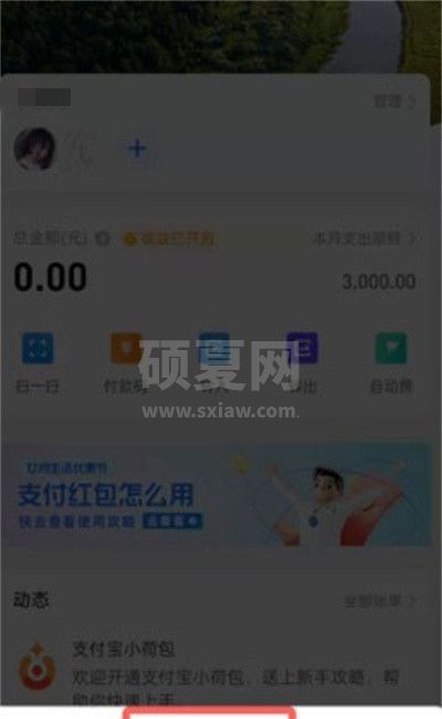 支付宝小荷包怎么更换背景?支付宝小荷包更换背景教程截图