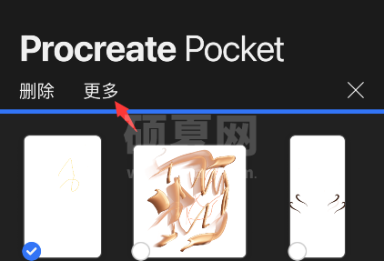 procreate pocket怎么预览作品？procreate pocket预览图片教程截图