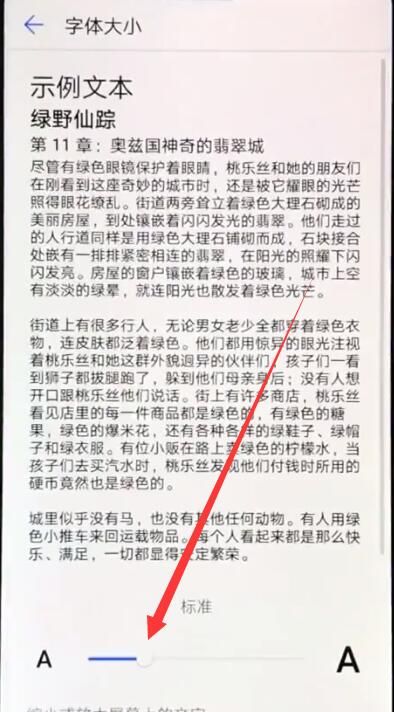 华为nova3e中调整字体大小的相关教程截图