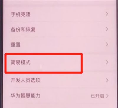 荣耀v30pro中开启简易模式的方法步骤截图