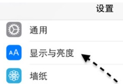 苹果手机一屏两用的具体操作教程截图