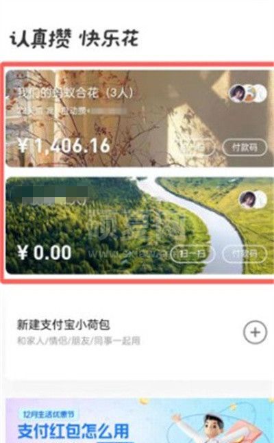 支付宝小荷包怎么更换背景?支付宝小荷包更换背景教程截图