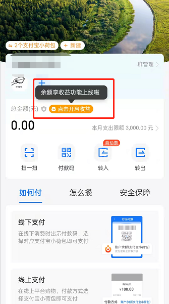 支付宝小荷包余额享收益怎么开？支付宝小荷包开启收益方法