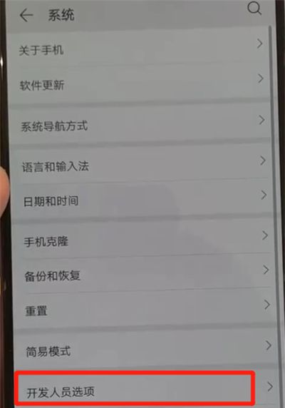 华为p30pro中关闭开发人员选项的操作教程截图