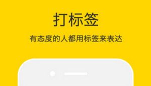 nice设置语言的操作过程截图