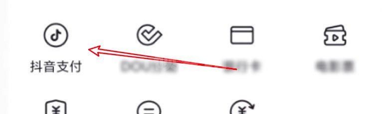 抖音怎么修改支付密码? 抖音修改支付密码的方法截图