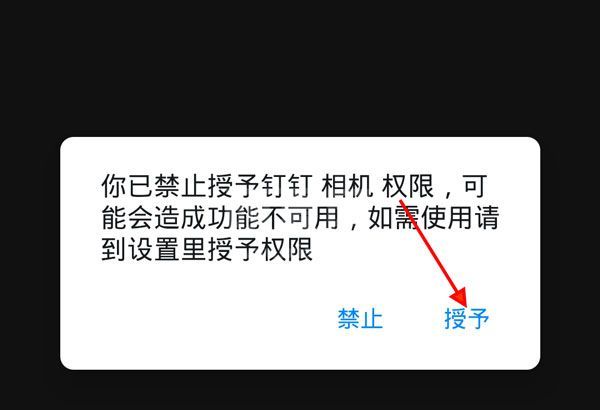 钉钉在线课堂如何打开摄像头?钉钉在线课堂打开摄像头的方法截图