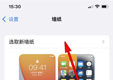苹果13mini怎样更换壁纸主题?苹果13mini设置壁纸主题教程截图