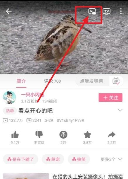 哔哩哔哩窗口模式怎么开?哔哩哔哩窗口模式打开步骤