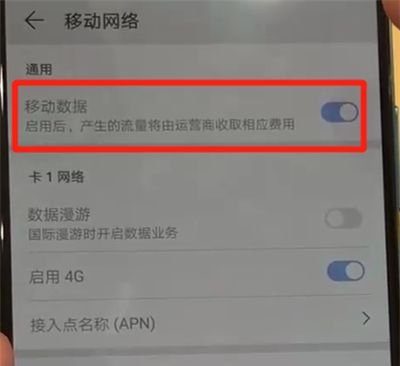 华为p30pro中开启流量的操作教程截图