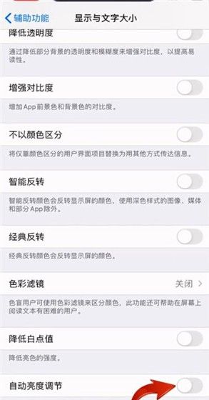 iphone11中设置屏幕自动调节亮度的详细步骤截图