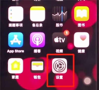 iphone11中查看序列号的详细方法截图