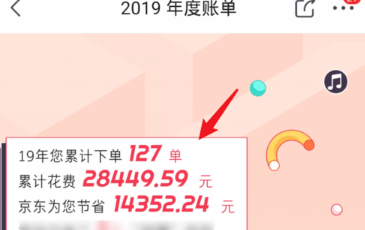 京东2019年看度账单的方法步骤截图