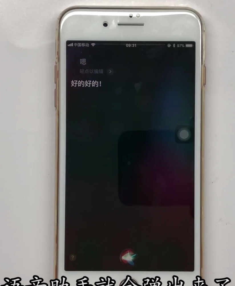 iphone8plus中打开语音助手的方法步骤截图