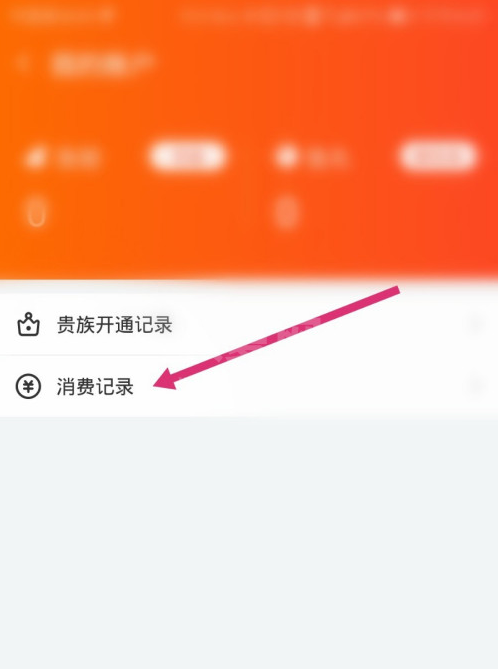 斗鱼消费记录怎么看 斗鱼查询消费记录方法截图