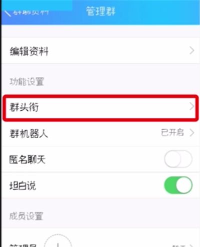 QQ群中显示头衔的操作方法截图