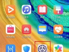 华为mate30 5G版关闭显示运营商名称的操作教程截图