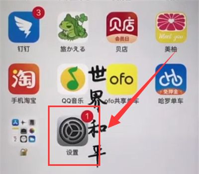 iphone6plus中开启振动的操作截图