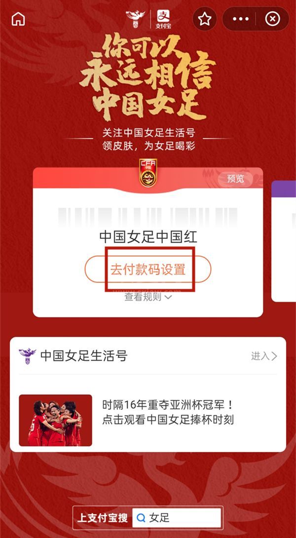 支付宝如何自定义皮肤壁纸？支付宝自定义皮肤壁纸方法截图