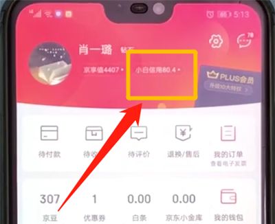 京东小白信用提升的操作步骤截图