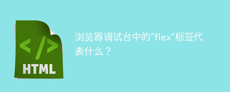 浏览器调试台中的“flex”标签代表什么？ 
