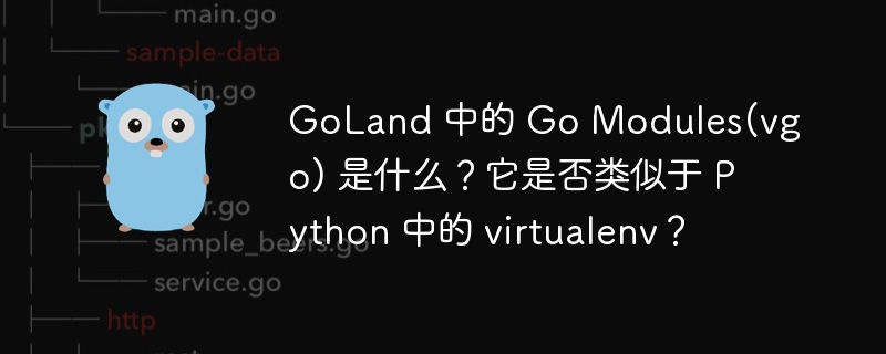 goland 中的 go modules(vgo) 是什么？它是否类似于 python 中的 virtualenv？