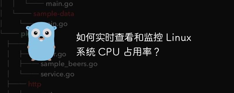 如何实时查看和监控 linux 系统 cpu 占用率？