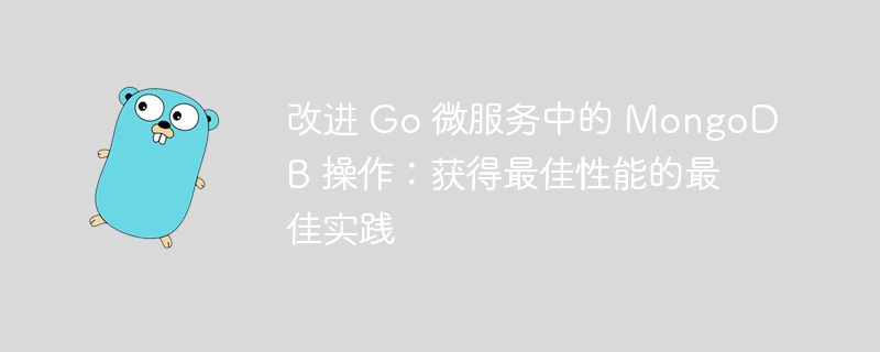 改进 go 微服务中的 mongodb 操作：获得最佳性能的最佳实践