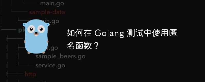 如何在 Golang 测试中使用匿名函数？