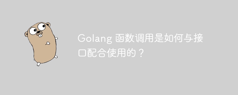 Golang 函数调用是如何与接口配合使用的？