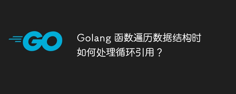 Golang 函数遍历数据结构时如何处理循环引用？