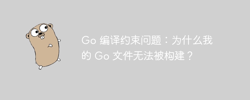 go 编译约束问题：为什么我的 go 文件无法被构建？