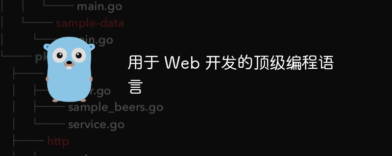 用于 web 开发的顶级编程语言