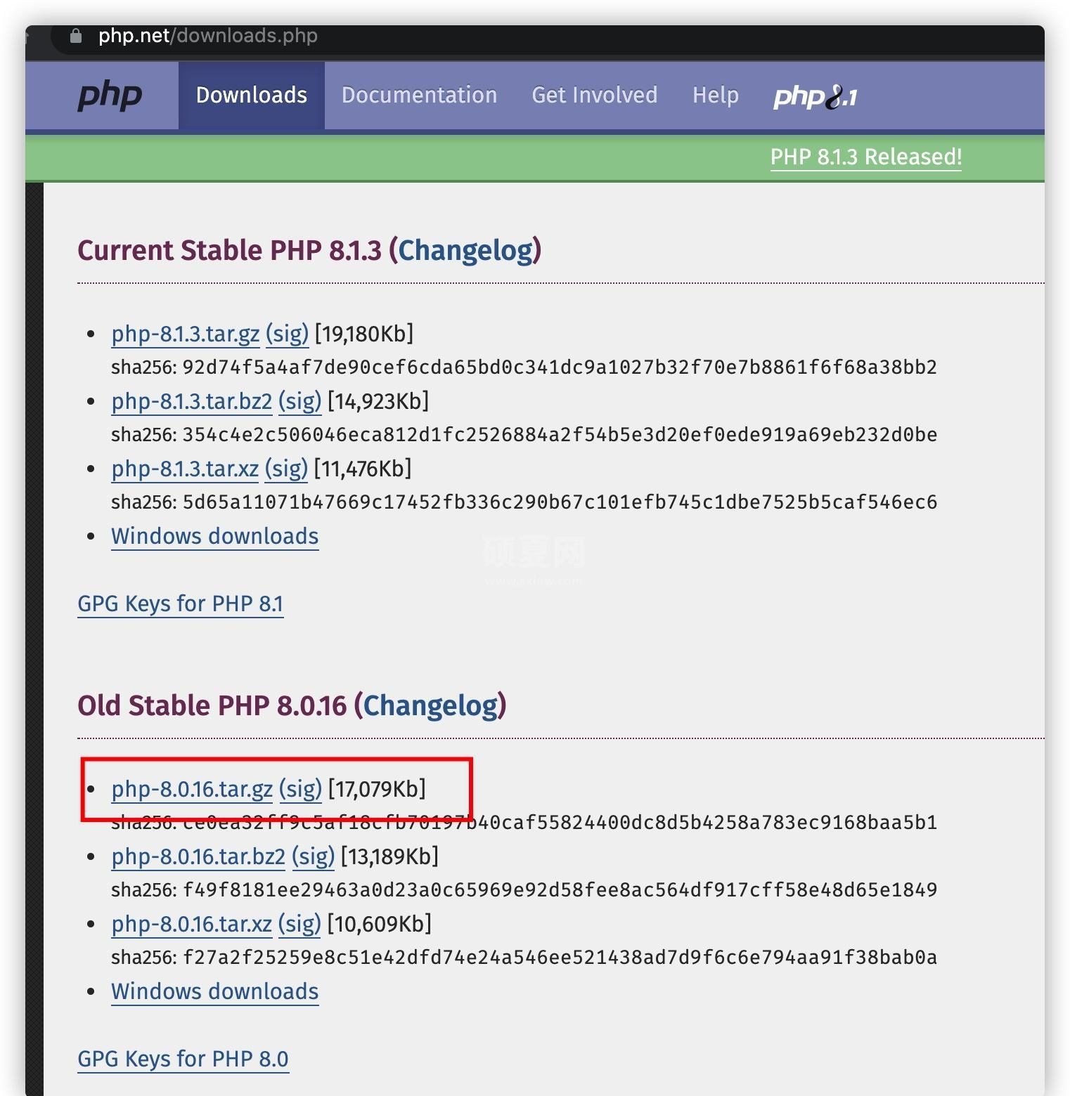 下载PHP 8.0.16 版本