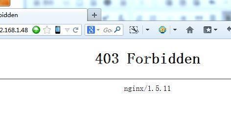 权限问题导致Nginx 403 Forbidden错误怎么解决