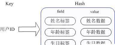 Redis中的5种数据类型怎么应用