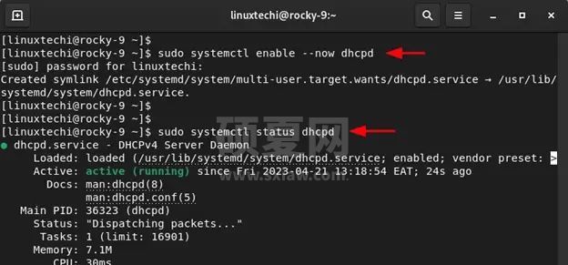 如何在 RHEL 9 上配置 DHCP 服务器