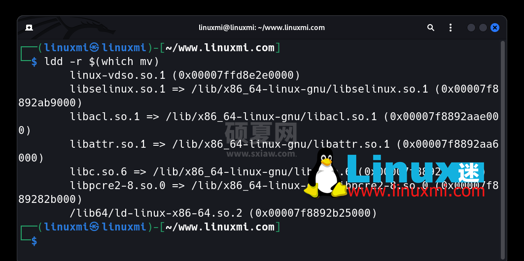 像专业人士一样在 Linux 上使用 ldd 命令管理软件包依赖关系