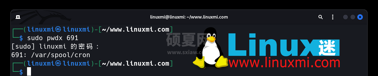 有趣的宝藏！六个独特而惊人的 Linux 实用工具