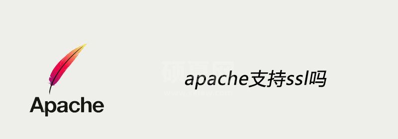 apache支持ssl吗