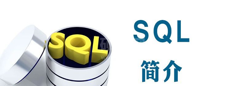 sql语言是什么语言