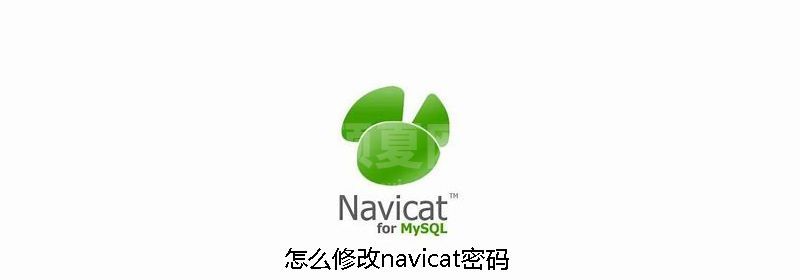 怎么修改navicat密码