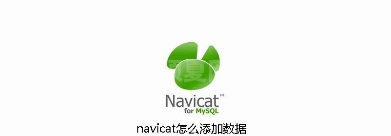 navicat怎么添加数据