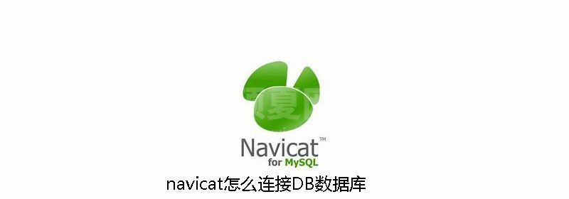 navicat怎么连接DB数据库