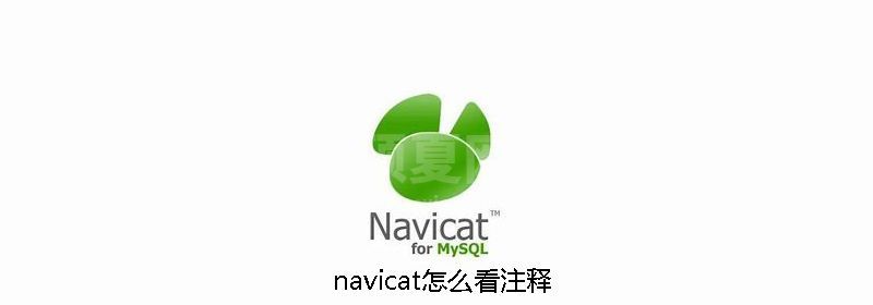 navicat怎么看注释