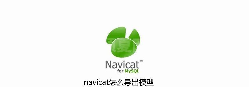 navicat怎么导出模型