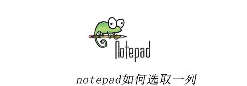 notepad++如何选取一列