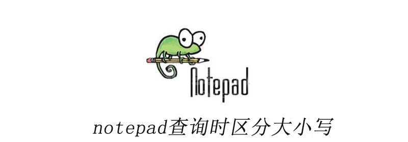 notepad查询时区分大小写